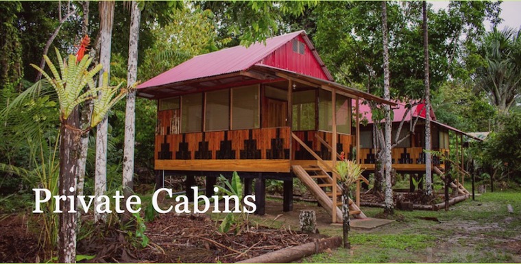Private cabins in Amazon rainforest